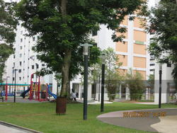 Blk 234 Tampines Street 21 (Tampines), HDB 3 Rooms #141840732